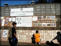 板に張り付けて自然乾燥