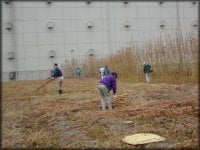 草狩機での刈り取り