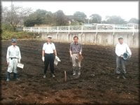 れんげ草の種まき